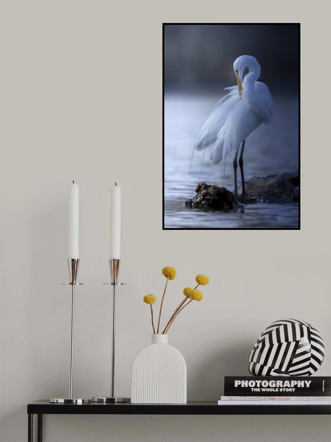 For spring.. Poster och Canvastavla