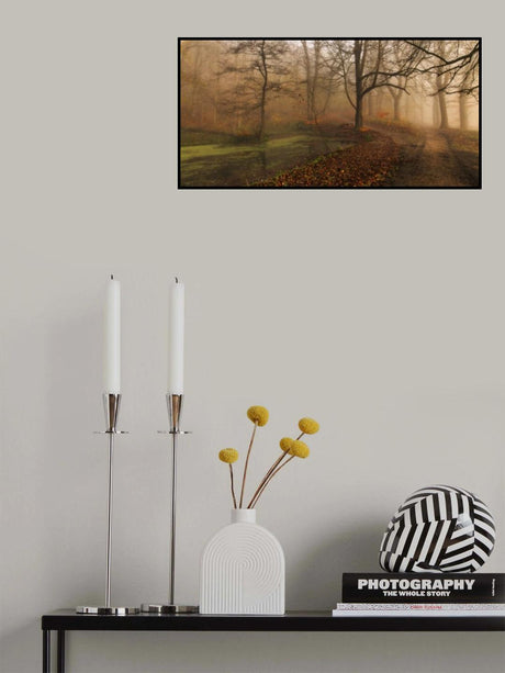 Which Path II Poster och Canvastavla