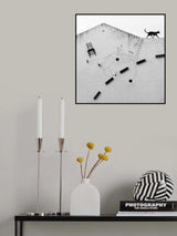 Black cat Poster och Canvastavla