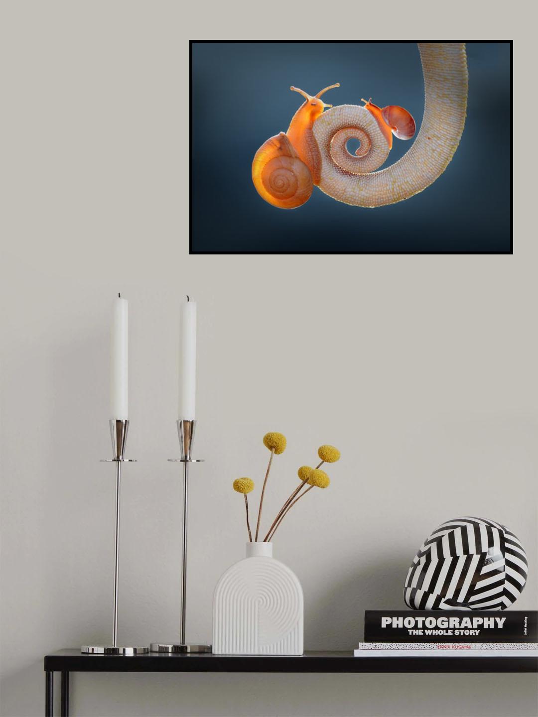 Snail and Tail Poster och Canvastavla