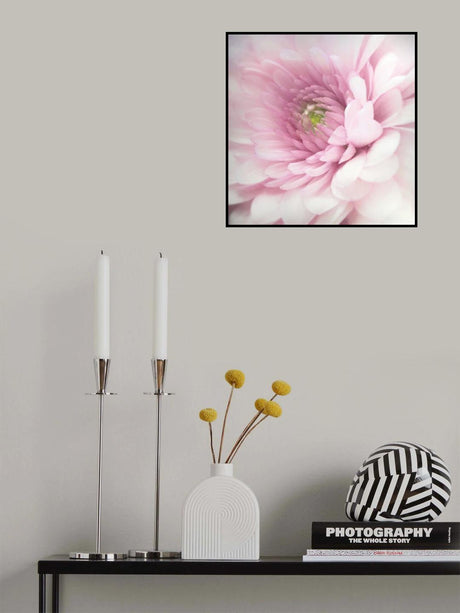 Pink Poster och Canvastavla