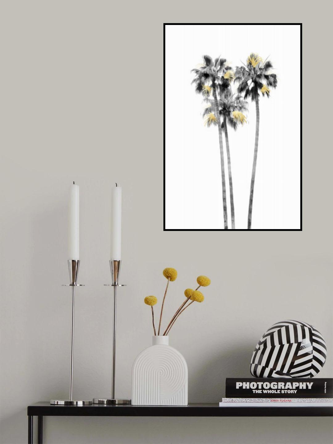 Palm Tree Black, White and Gold 03 Poster och Canvastavla