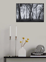 Foggy morning II Poster och Canvastavla