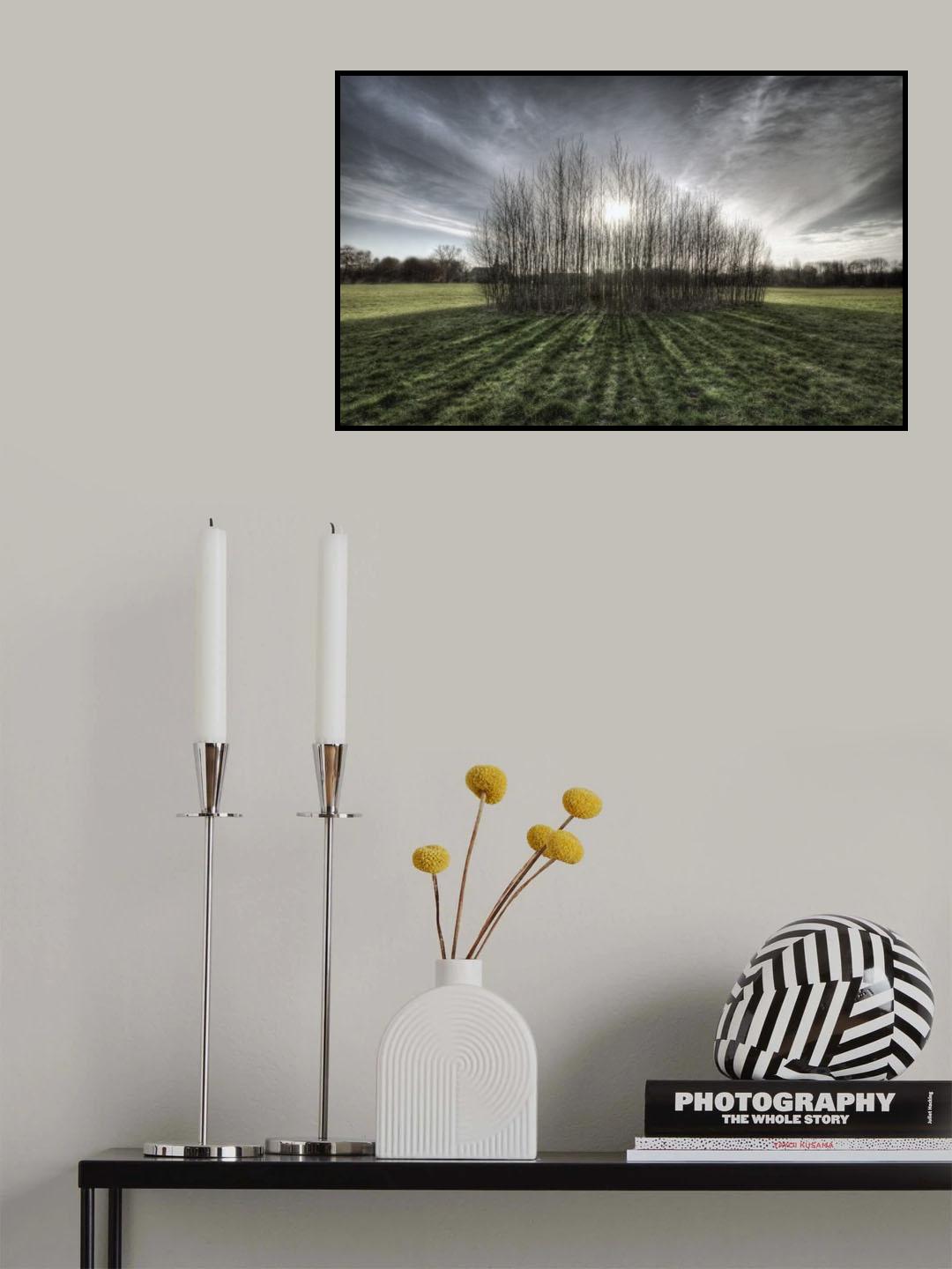 Sticky Trees Poster och Canvastavla