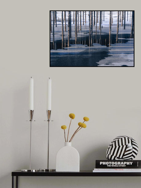 Winter lake Poster och Canvastavla