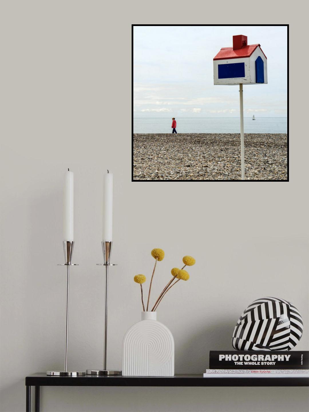 Lady of the house Poster och Canvastavla