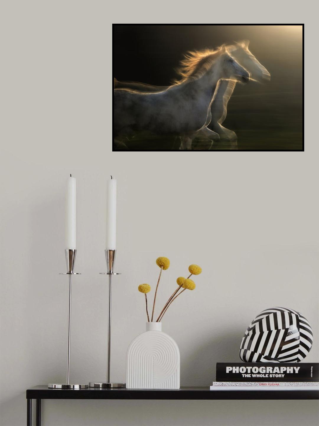 Echoes of light Poster och Canvastavla