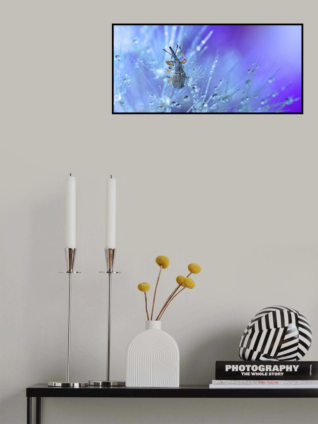 Swimming in the stars... Poster och Canvastavla