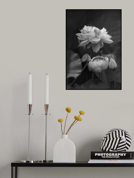 Flower of Life Poster och Canvastavla