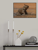 Elephant Calf enjoying the Mud Bath Poster och Canvastavla