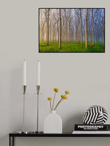 Morning of the Forest Poster och Canvastavla