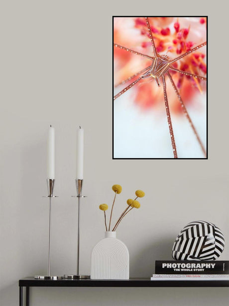 Snow flower Poster och Canvastavla