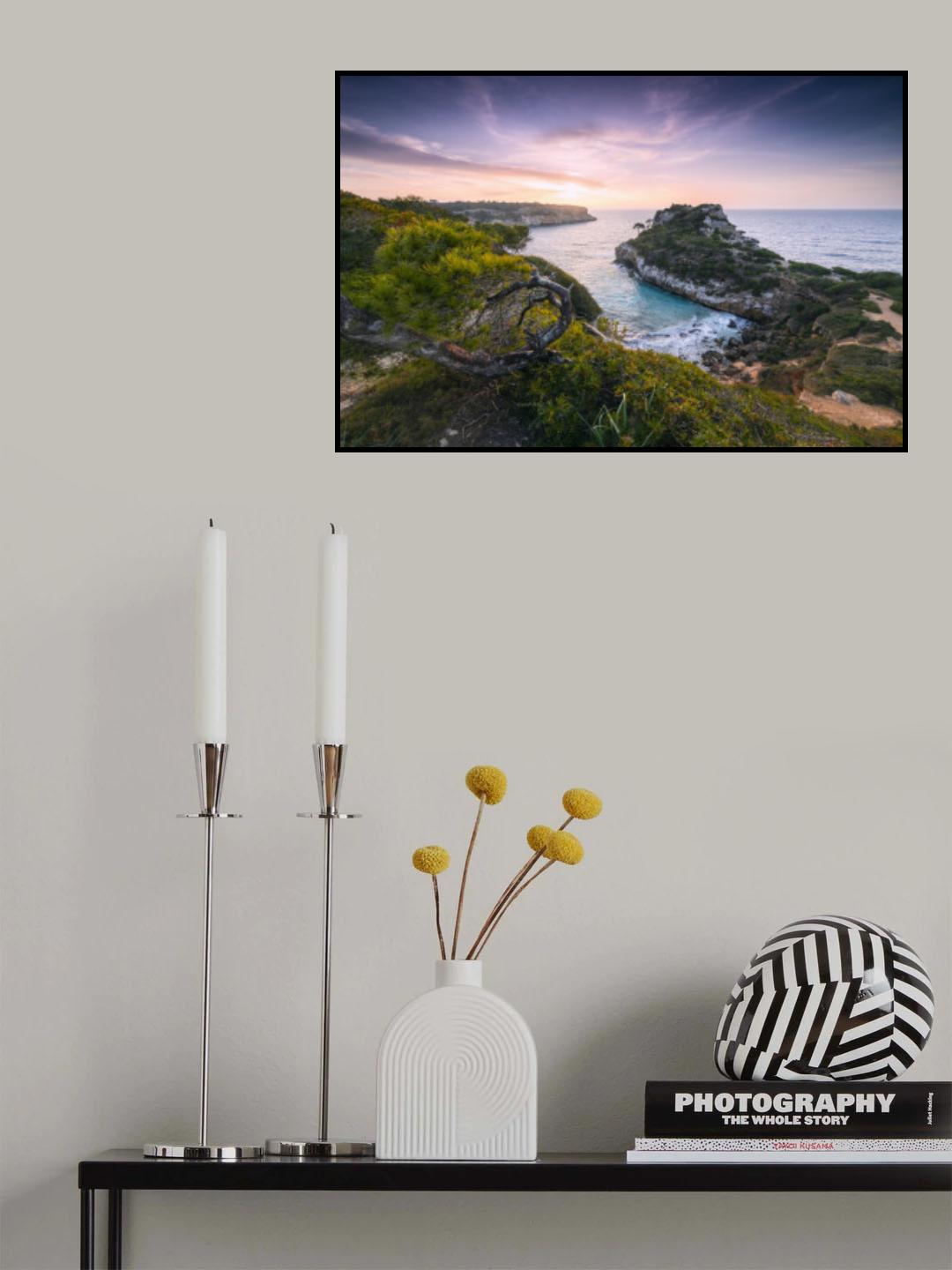 Baydreams Poster och Canvastavla