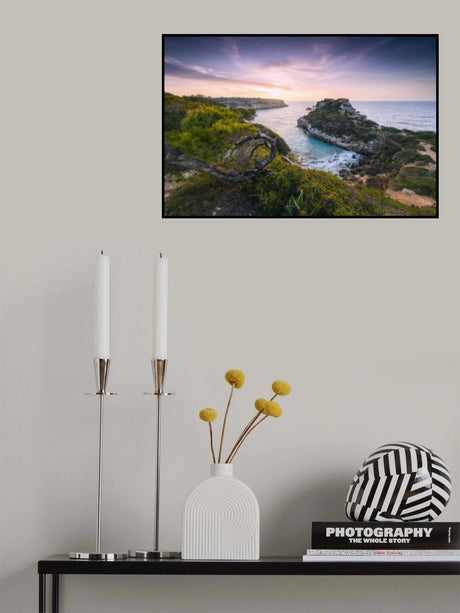 Baydreams Poster och Canvastavla