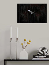 Showtime Poster och Canvastavla