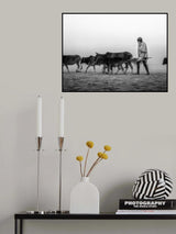 Life in a Circle Poster och Canvastavla