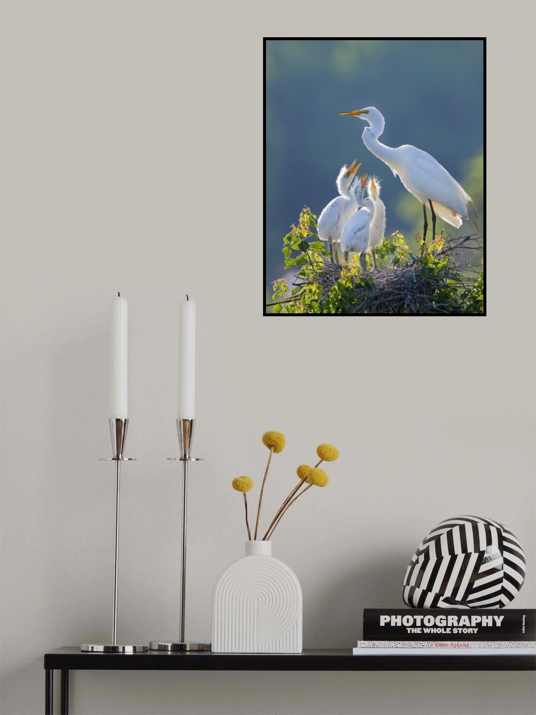 Expecting Poster och Canvastavla