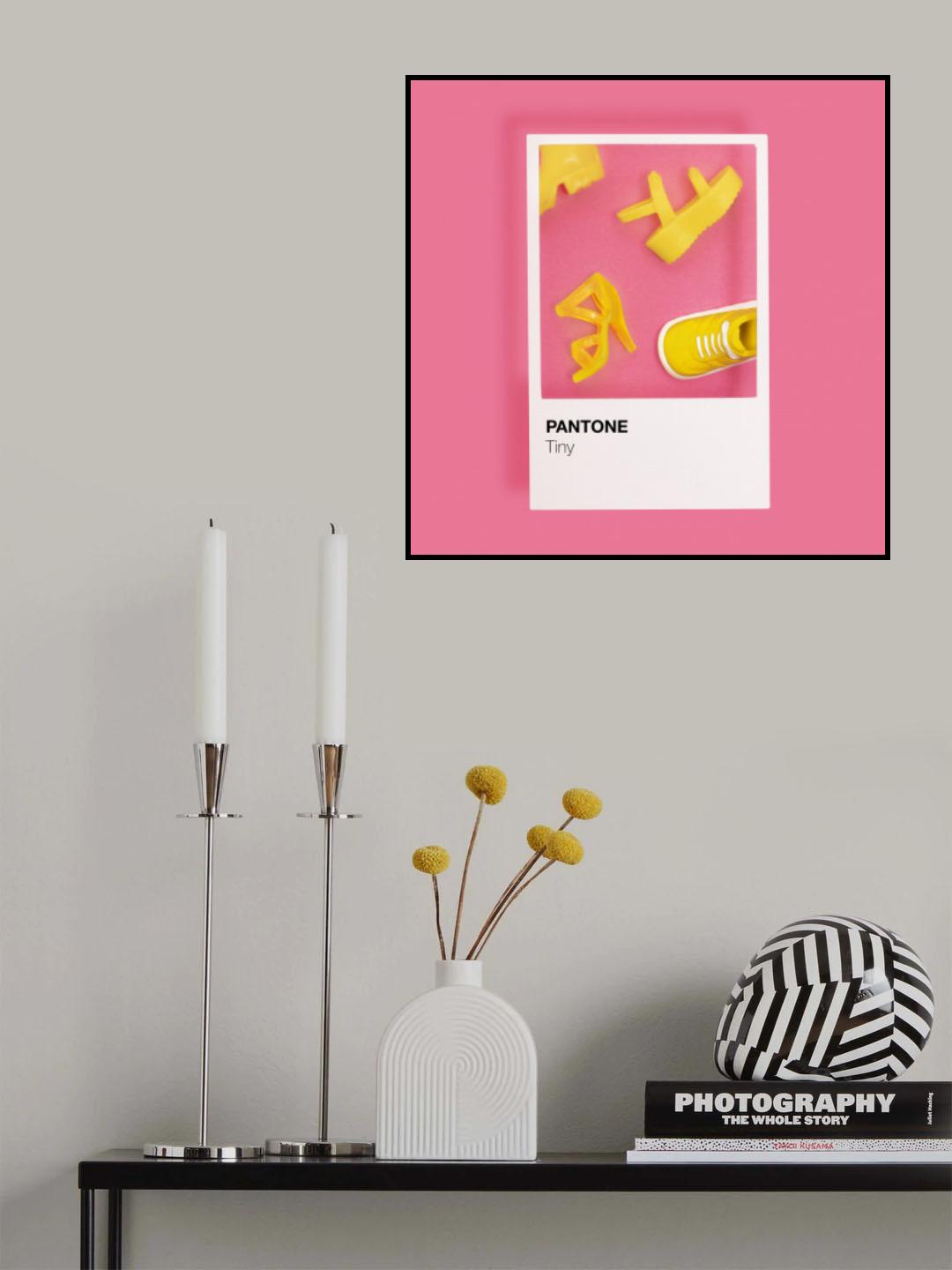 Plastic Poster och Canvastavla