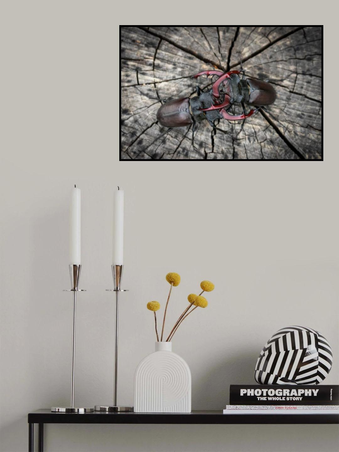 Friend or enemy? Poster och Canvastavla