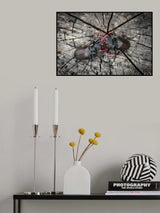 Friend or enemy? Poster och Canvastavla