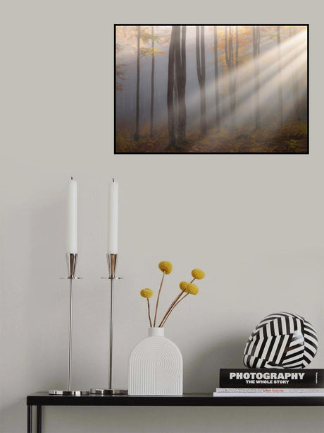 Light around the corner Poster och Canvastavla