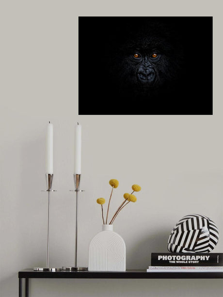 Baby Mountain Gorilla Poster och Canvastavla