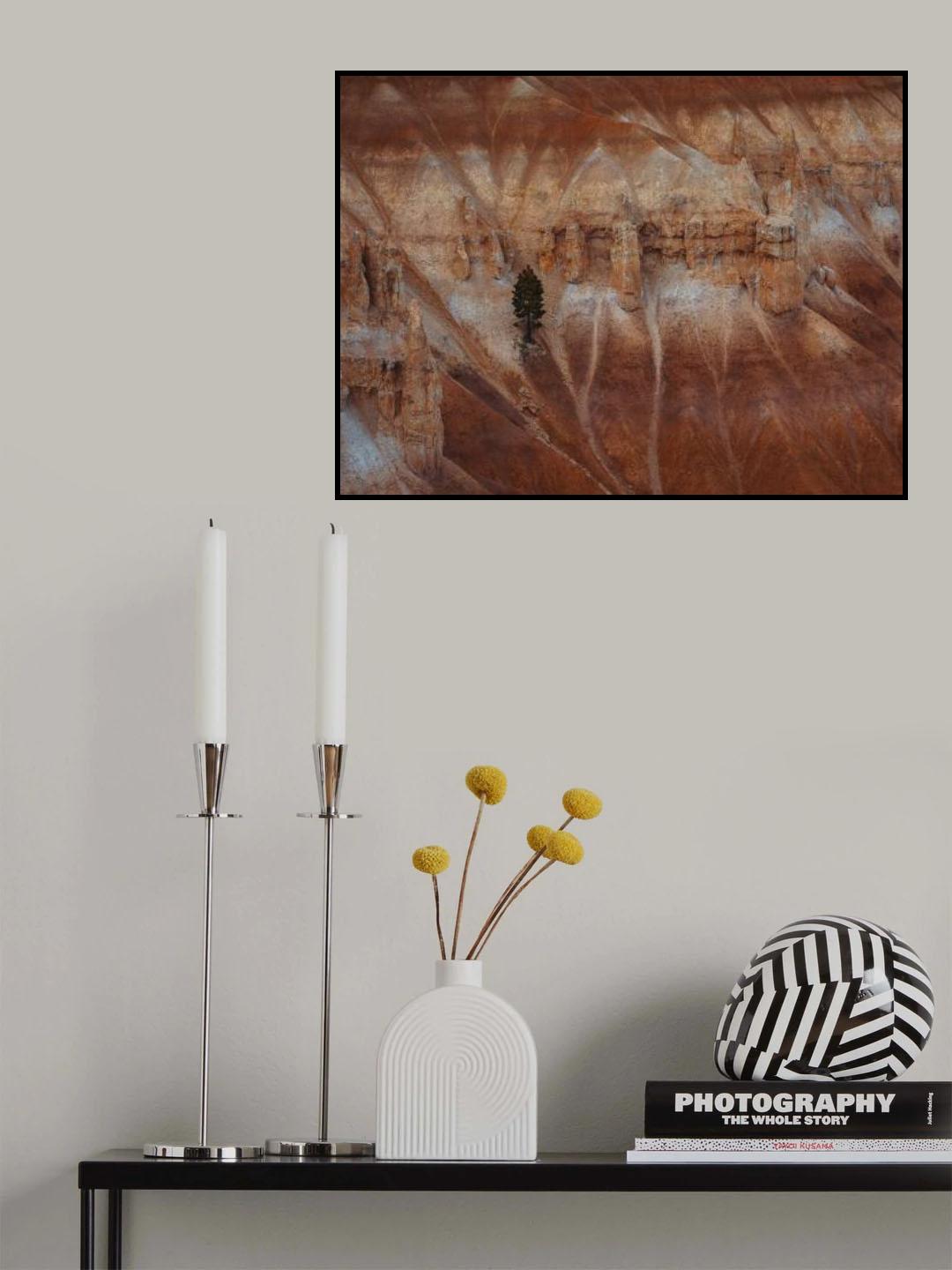A pine tree on the steep cliff Poster och Canvastavla