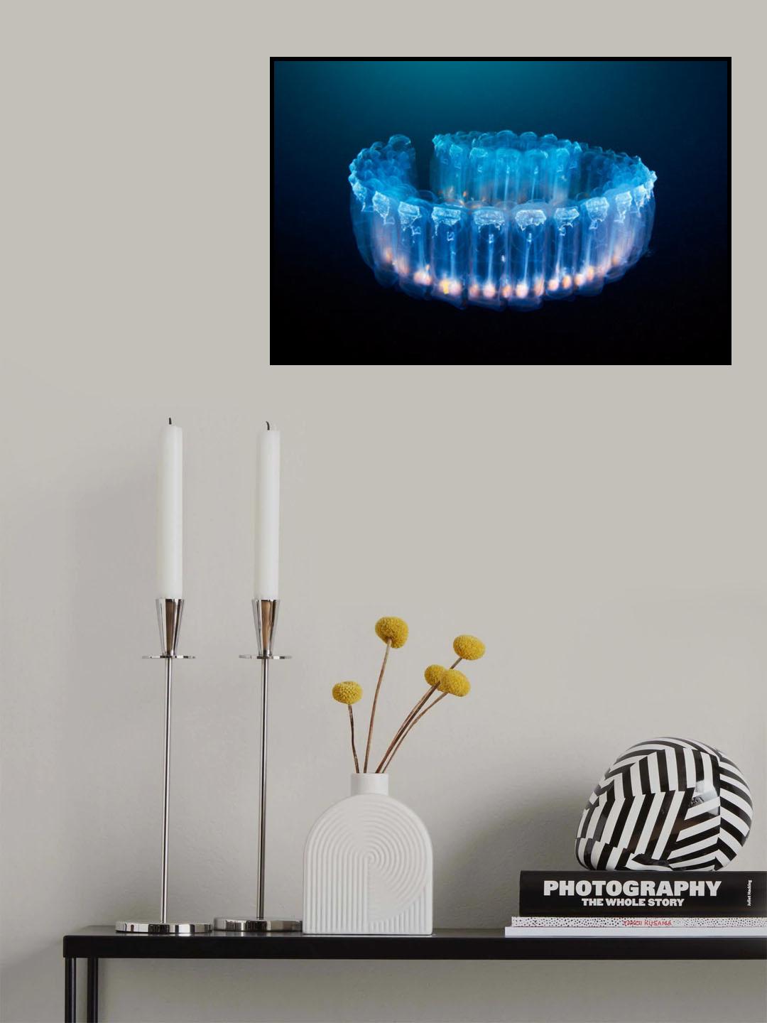 Alien lamp - Pegea confoederata Poster och Canvastavla