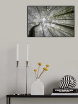 Forest views Poster och Canvastavla