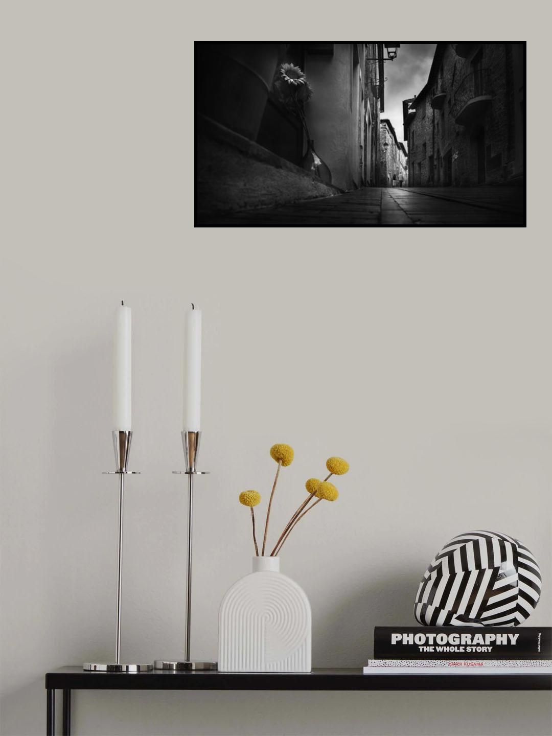 Sunflowers in the alley Poster och Canvastavla