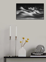 Sleeping beauties Poster och Canvastavla