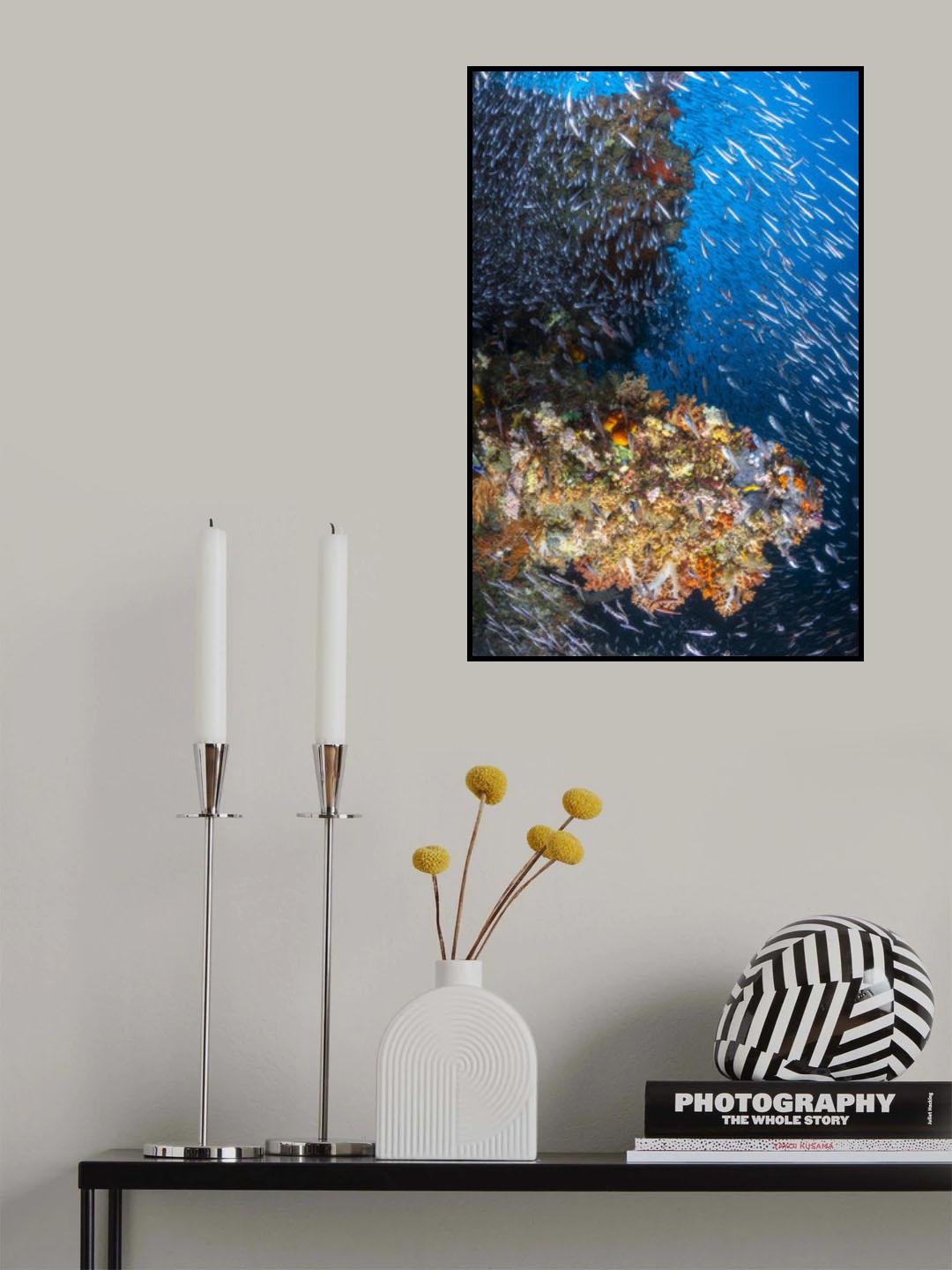 Coral reef under the sun of Raja Ampat. Poster och Canvastavla