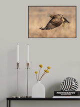 Vole Poster och Canvastavla