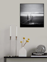 The last Poster och Canvastavla