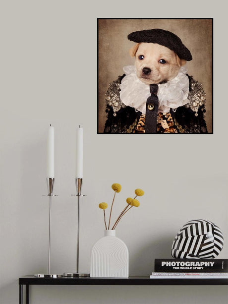 Shelter Pets project - Mia Poster och Canvastavla