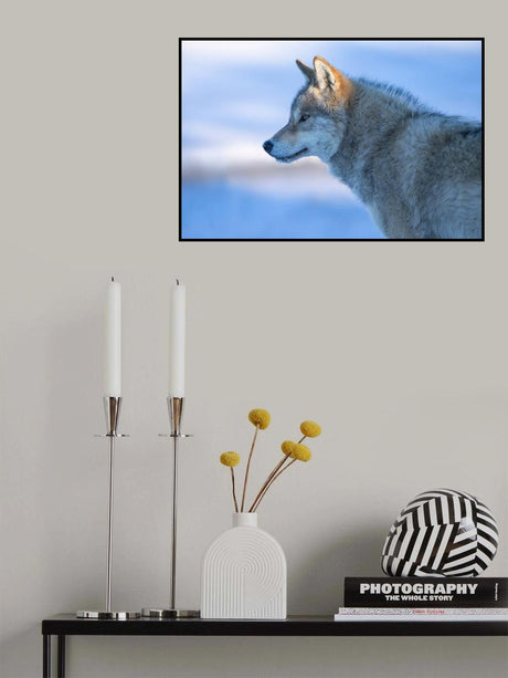 A vigilant Wolf Poster och Canvastavla