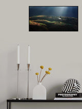 Magic Morning Poster och Canvastavla