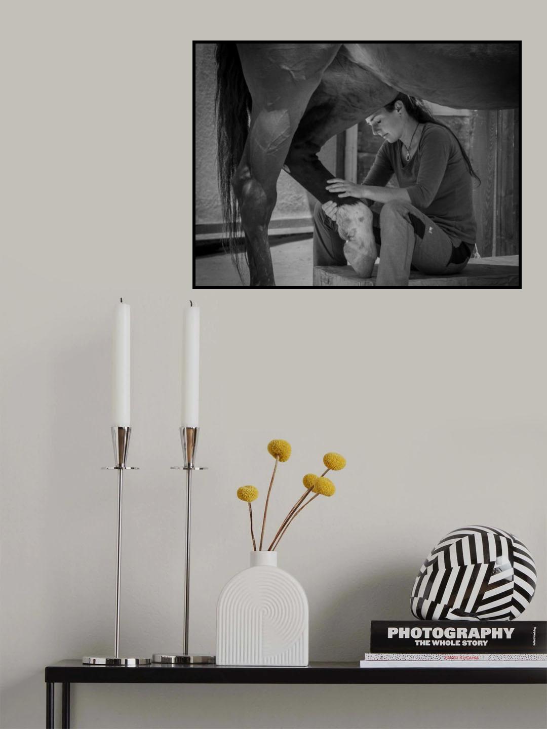 Girl treats horse Poster och Canvastavla