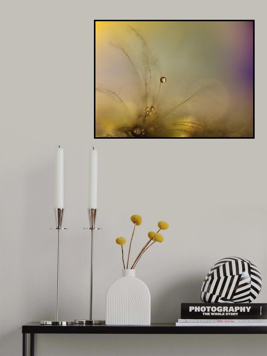 Feeling of a new day Poster och Canvastavla
