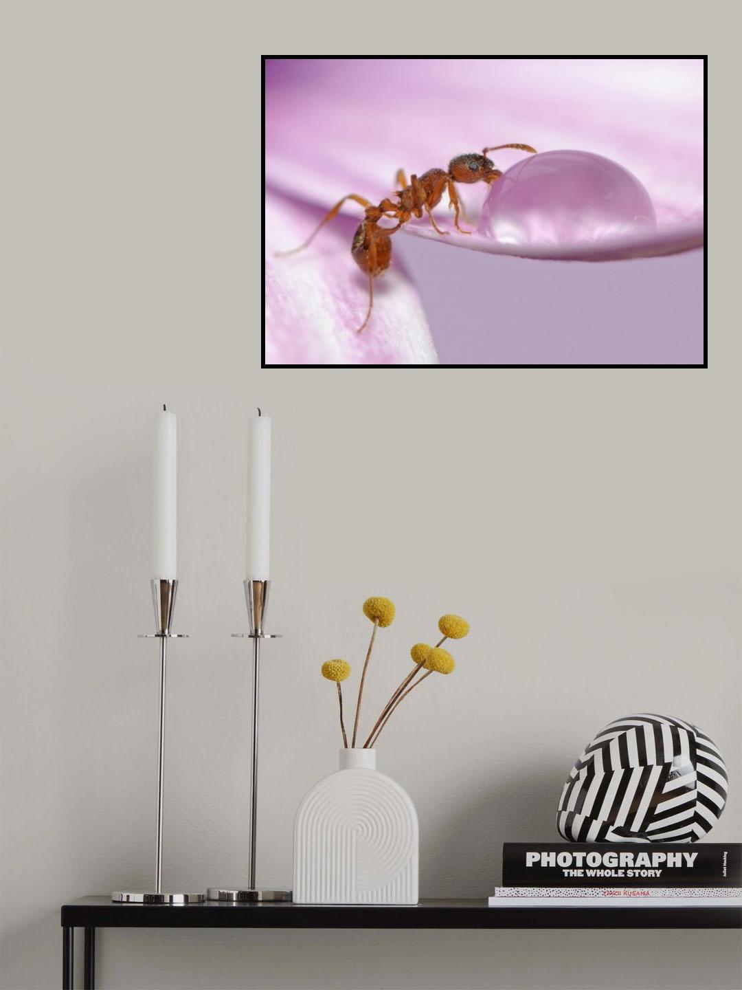 Thirsty Poster och Canvastavla