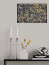 Tex Surface S29 Poster och Canvastavla