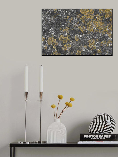 Tex Surface S29 Poster och Canvastavla