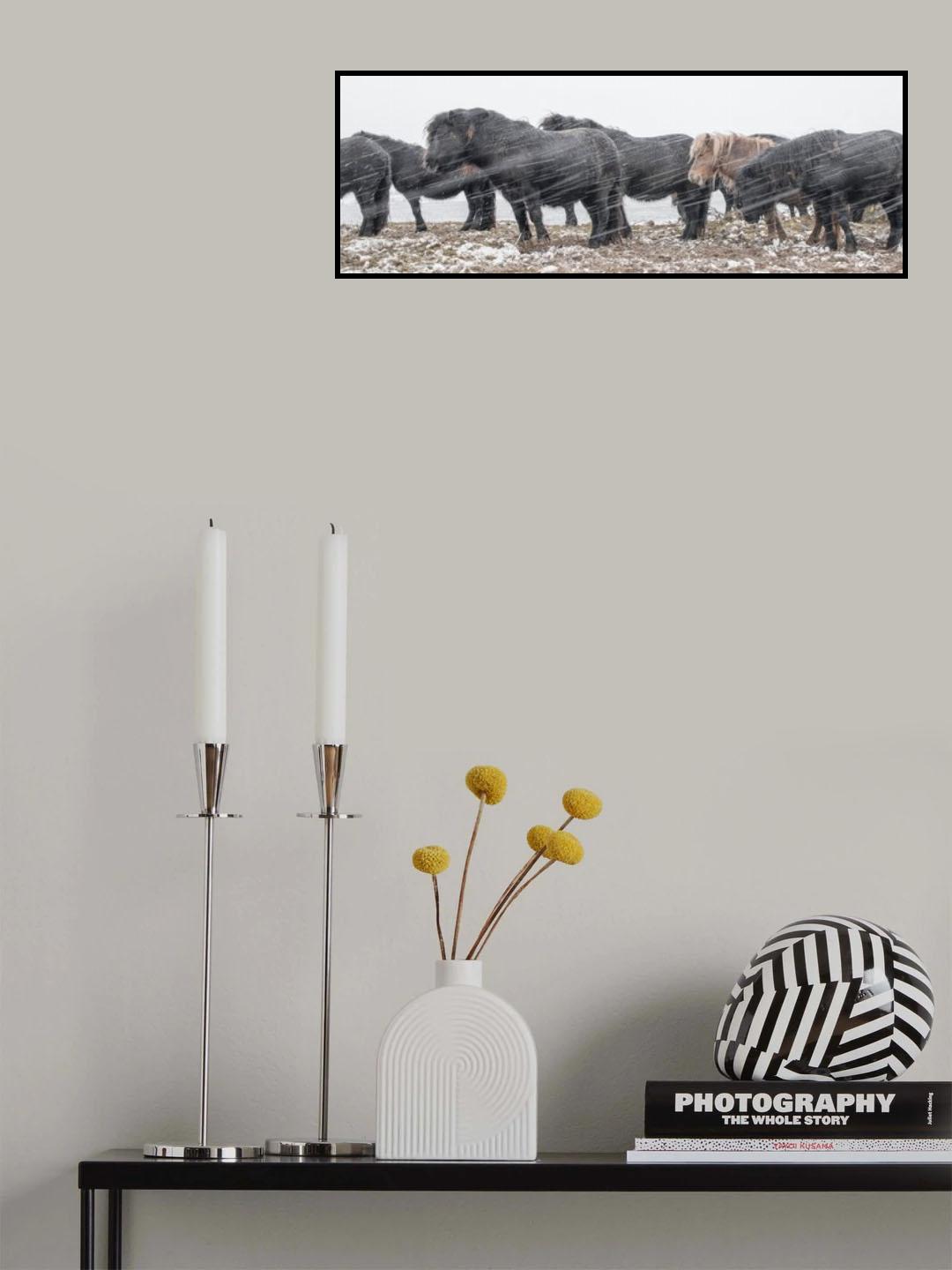 Waiting untill the Blizzard is over Poster och Canvastavla