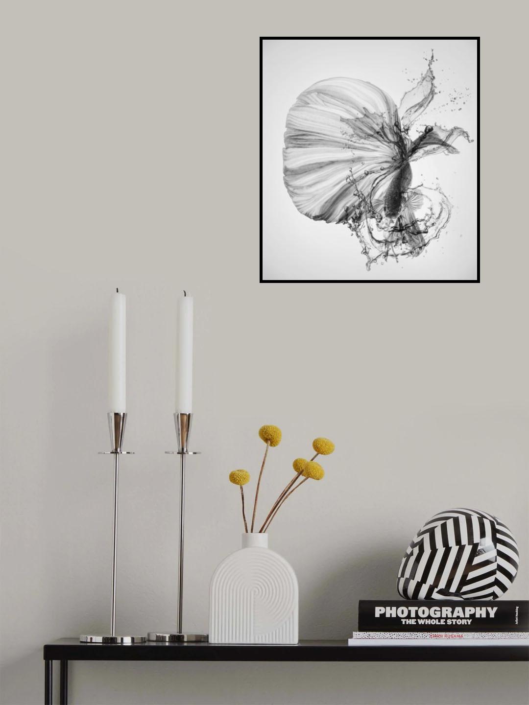 Betta Black and White Poster och Canvastavla