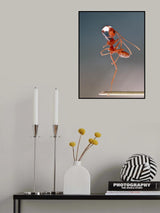dance with dew Poster och Canvastavla