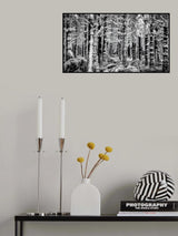 Winter Forest Poster och Canvastavla
