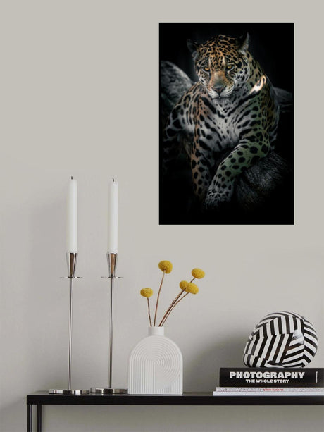 Look at me Poster och Canvastavla