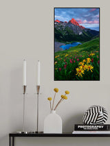 Colorful Colorado Poster och Canvastavla