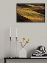 Moravian Tuscany Waves #2 Poster och Canvastavla