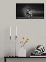 KYLIN’S GARDEN Poster och Canvastavla